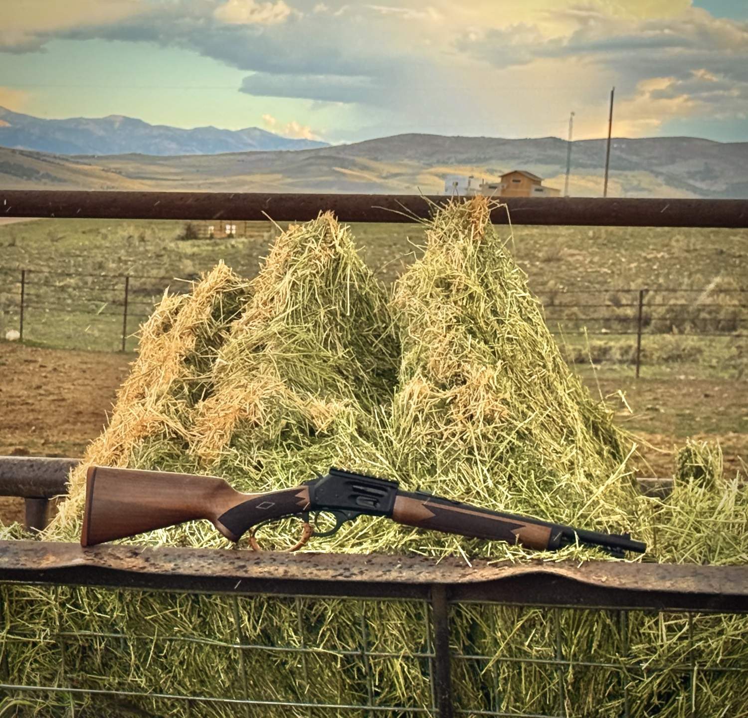 Rawhide on the ranch